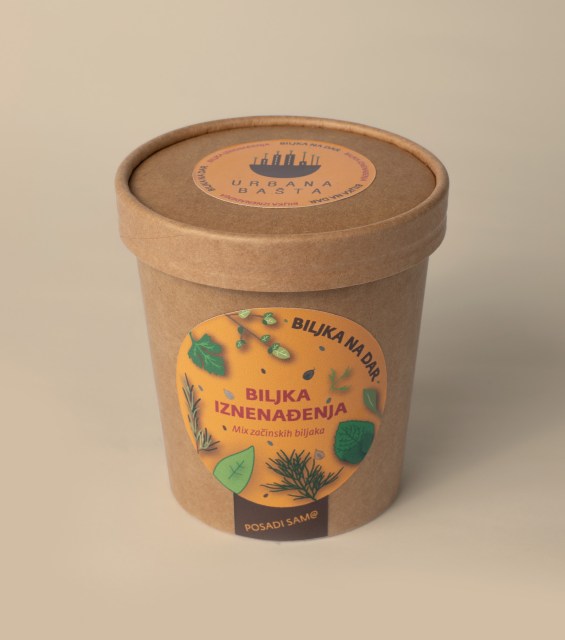 biljka-iznenadjenja-gornja-strana