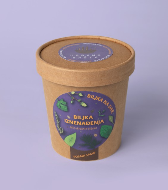 biljka-iznenadjenja2-gornja-strana