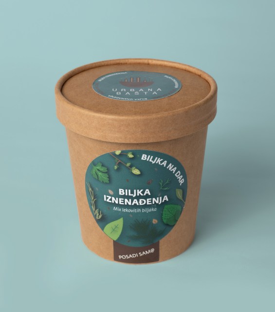 biljka-iznenadjenja3-gornja-strana