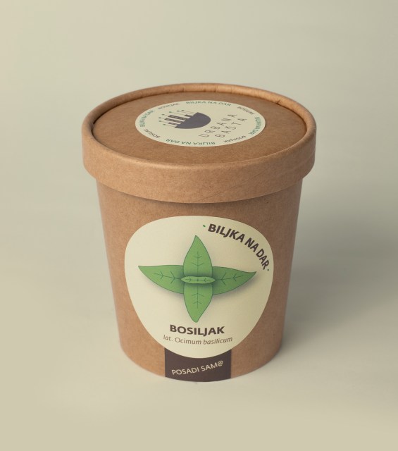 bosiljak-gornja-strana1