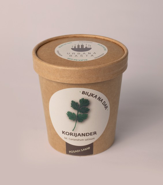 korijander-gornja-strana