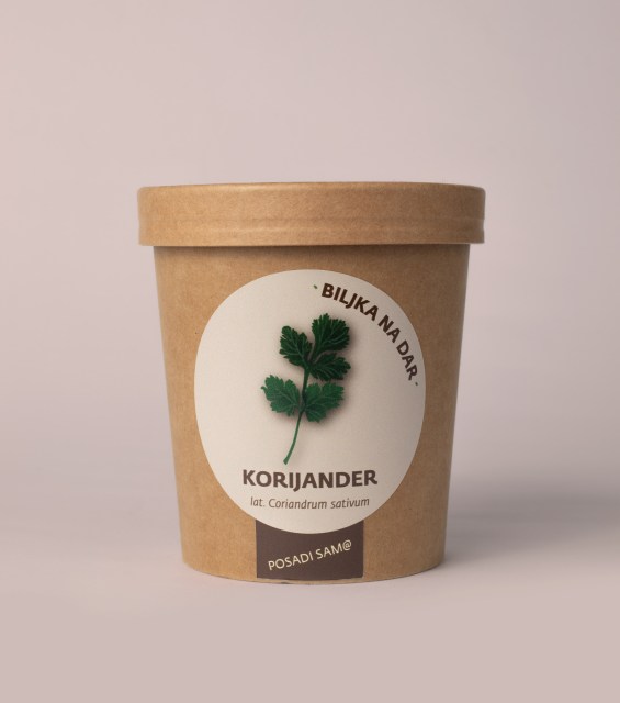 korijander