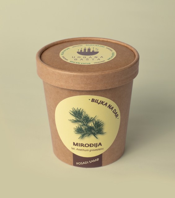 mirodjija-gornja-strana