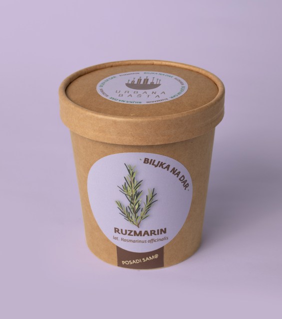 ruzmarin-gornja-strana